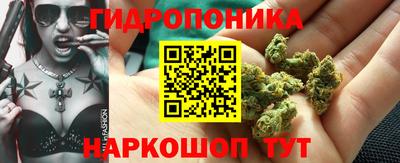 прущая мука Дубна