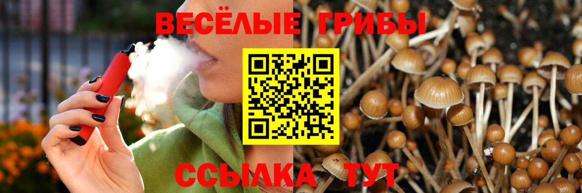 Ликино-Дулёво  Галлюциногенные грибы ЛСД  Вход с VPN  Псилоцибиновые грибы GOLDEN TEACHER 